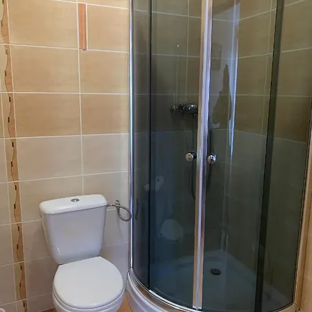 Delfin Goscinne Gąski