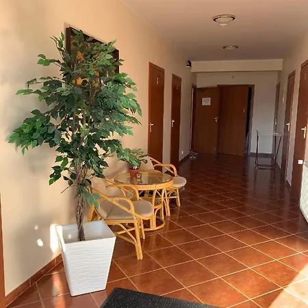 Delfin Goscinne Gąski