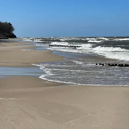 בית אירוח Delfin Goscinne Gąski