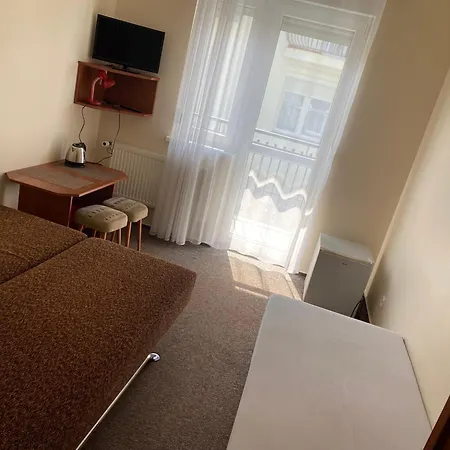 Delfin Goscinne Gąski