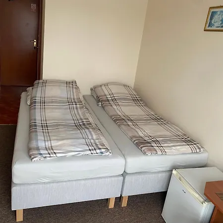 Delfin Goscinne Gąski