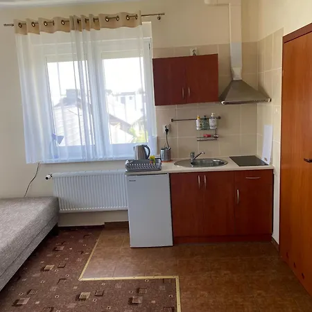 Delfin Goscinne בית אירוח *