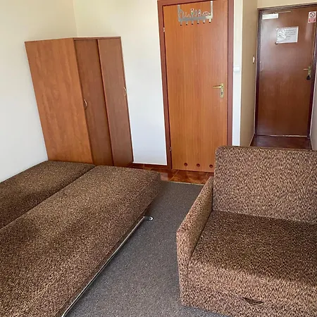 Delfin Goscinne * Gąski