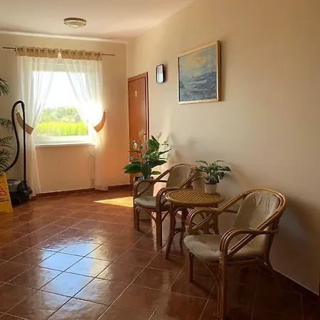 Delfin Goscinne Gąski