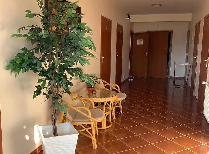 Delfin Goscinne Gąski