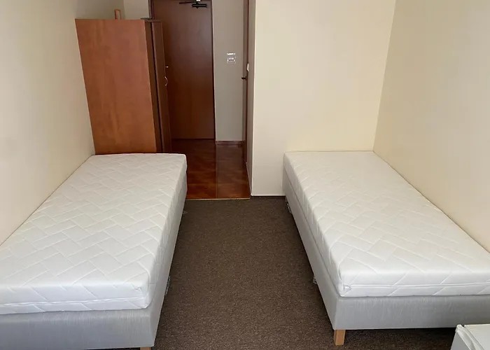 Delfin Goscinne * Gąski