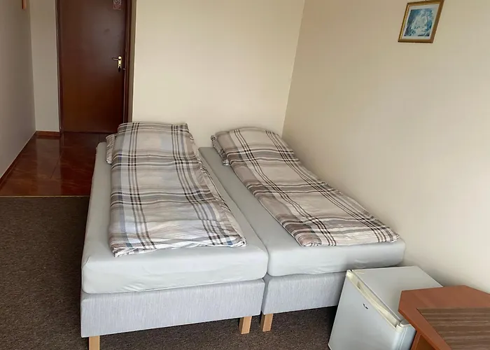 Delfin Goscinne Gąski