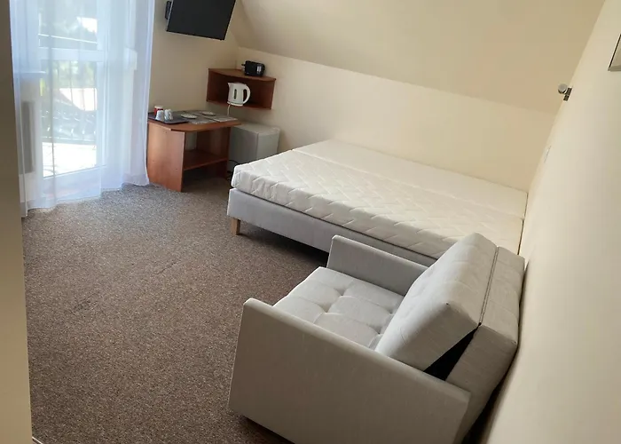 Delfin Goscinne * Gąski